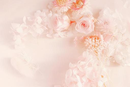 ピンクの花の背景の写真