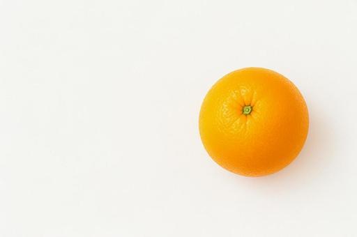 オレンジの写真