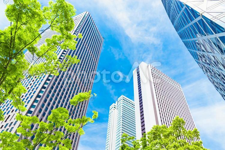 緑と新宿の街並み 風景,街並み,緑の写真素材