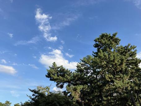 奈良公園から見た空 奈良公園から見た空の写真
