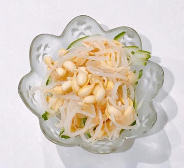 もやしナムルきゅうり もやしナムルきゅうり,もやしナムル,ナムルの写真素材