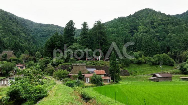 田舎の高台にある神社、京都府南丹市 神社,鳥居,山の写真素材