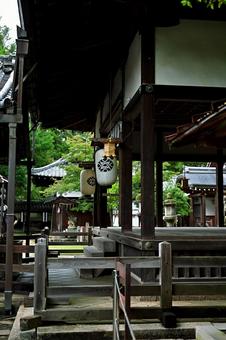 深く歴史ある神社で目につく提灯 提灯,神社,木々の写真素材