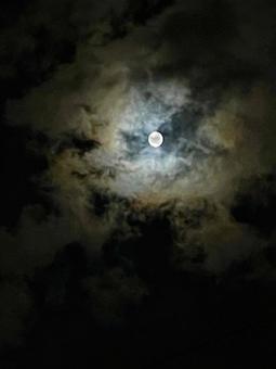 月 月,お月様,ムーンの写真素材