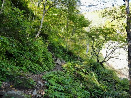 山道３６の写真