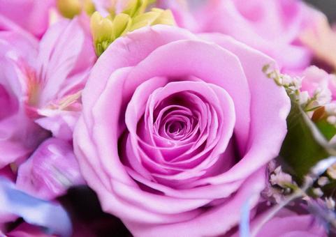 ピンクのばらのブーケ#1 ピンクのばらのブーケ#1 バラ,ピンク,花束の写真素材
