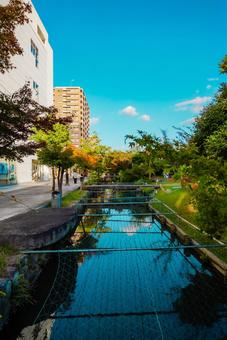 【佐賀】佐賀駅の周辺 佐賀,商店街,街並みの写真素材