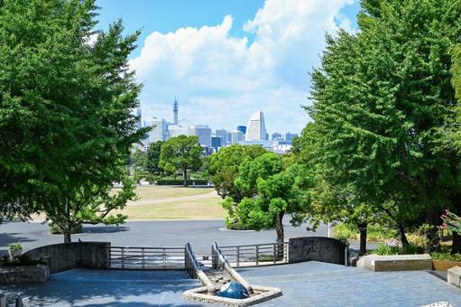 横浜・山下公園 横浜・山下公園の写真