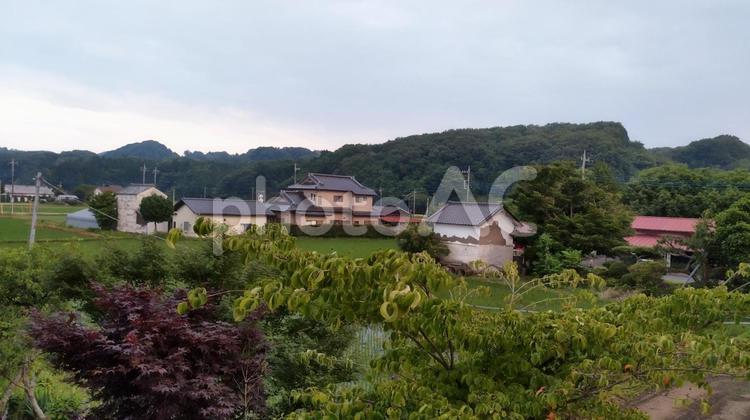 山のある田園風景 植物,屋外,雑草の写真素材