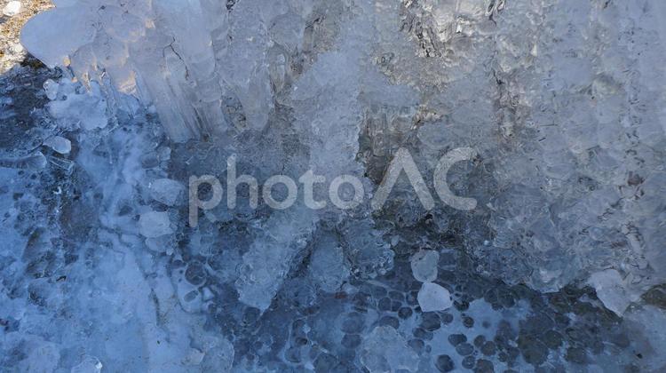木にできた氷 氷,木,枝の写真素材