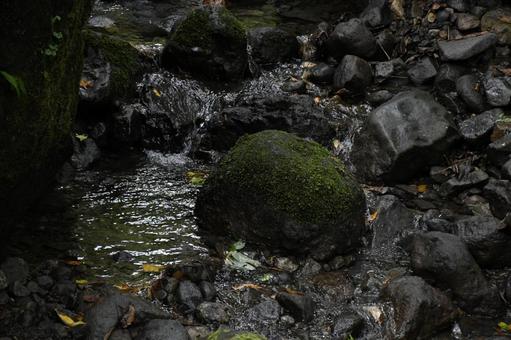 苔むした岩と川 苔むした岩と川の写真
