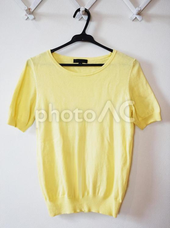 イエローのサマーニット casual,knit,summerの写真素材