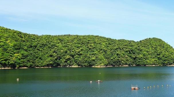 新緑のやんばる 沖縄県東村 新緑のやんばる 沖縄県東村 山,ダム湖,青空の写真素材