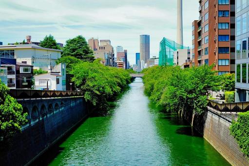目黒の川沿い 目黒の川沿いの写真