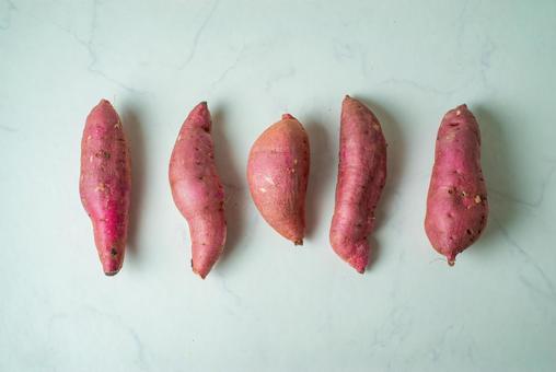 白背景に並べたサツマイモ 白背景に並べたサツマイモ サツマイモ,紅はるか,食材の写真素材