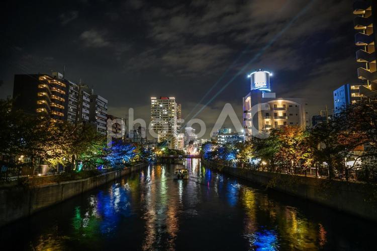 大岡川のライトアップと横浜の街並み 大岡川,川,横浜の写真素材