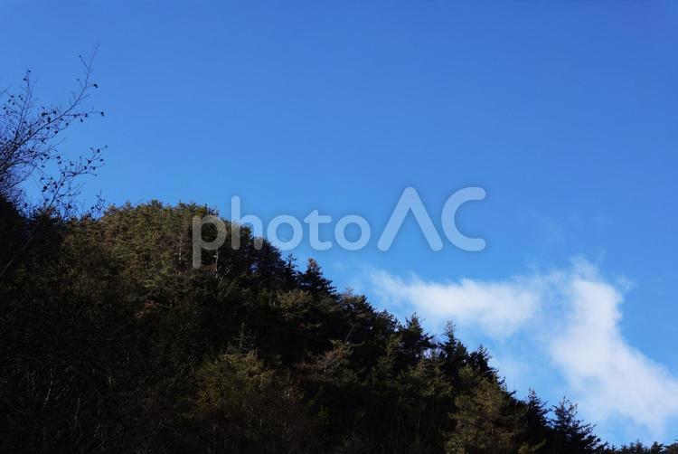 木枯らしの山 空,テクスチャ,背景の写真素材