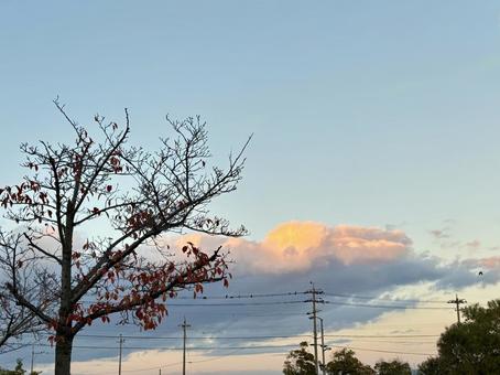 夕どき 自然,風景,夕方の写真素材