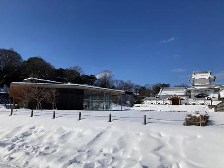 雪 雪の写真