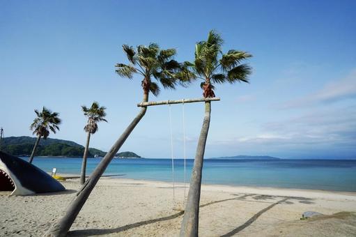 福岡 糸島 ヤシの木ブランコ3 ヤシの木ブランコ,椰子,ヤシの写真素材