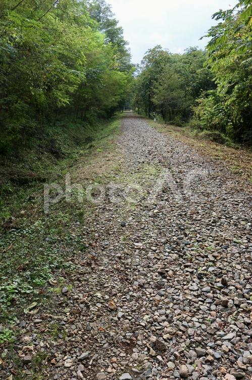 旧篠ノ井線・砂利道 秋,安曇野,長野県の写真素材