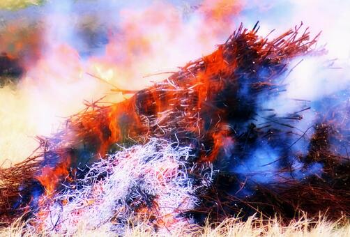 野焼き 野焼き,炎,火の写真素材