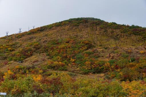 八方尾根の紅葉 白馬,八方尾根,長野の写真素材