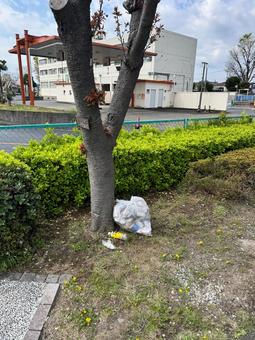 ゴミ袋の放置 ゴミ袋の放置 ゴミ,ゴミ袋,ポイ捨ての写真素材