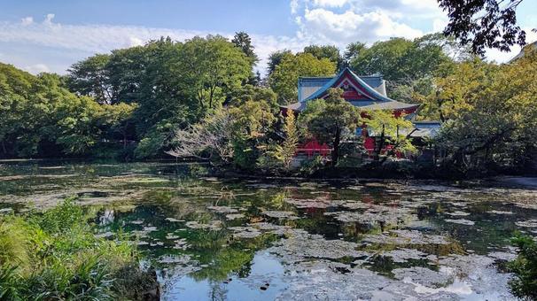 公園 公園の写真