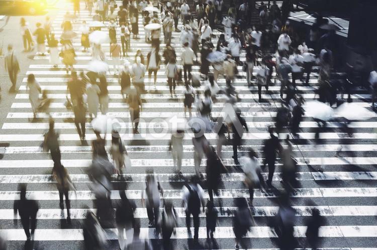 横断歩道を渡る人々 ビジネス,社会,不景気の写真素材