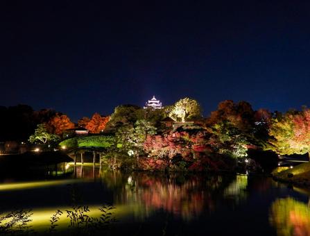 後楽園から見るライトアップされた岡山城 岡山後楽園,岡山城,ライトアップの写真素材
