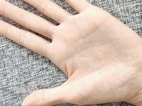 手相 手相,手のひら,手の写真素材