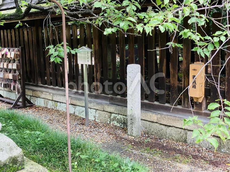 梅宮大社　またげ石 梅宮大社,京都府京都市,左京区の写真素材