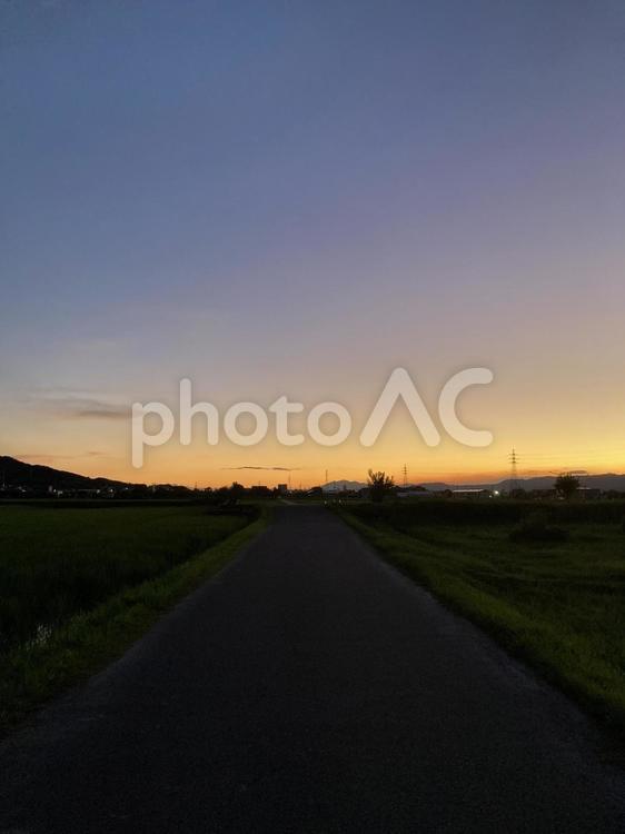 黄昏時の一本道（縦） 黄昏,夕暮れ,夕焼けの写真素材