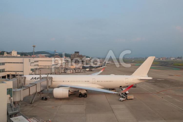帰路と旅立ちが交差する場所 飛行機,航空機,旅客機の写真素材
