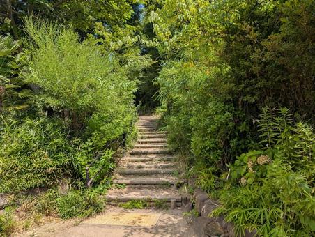 松濤鍋島公園1 松濤鍋島公園1の写真