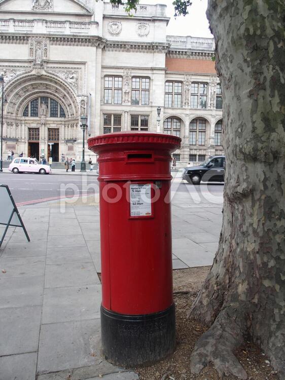 ロンドン　街角　ポスト　V&A博物館前　赤い　木の下 ロンドン,街並,イギリスの写真素材