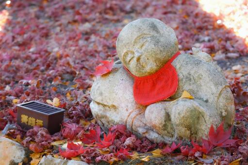 秋にもたれて 秋,紅葉,もみじの写真素材