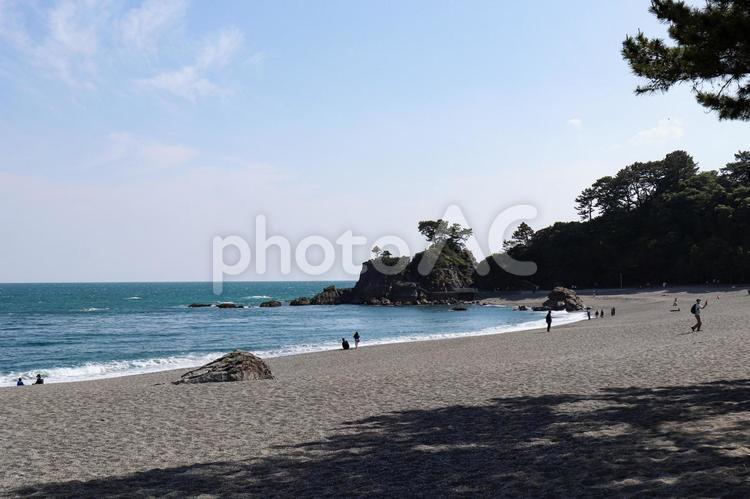 晴天の桂浜の砂浜 桂浜,高知県,砂浜の写真素材