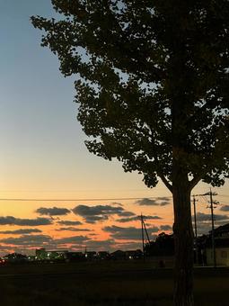 Evening sky, trees, clouds, sky, JPG Evening sky, trees, clouds, sky, JPG