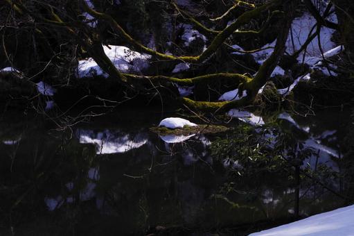 水鏡 水鏡の写真