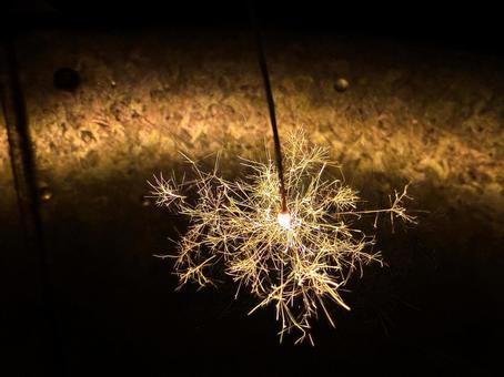 線香花火 線香花火の写真