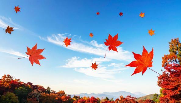 秋の紅葉の景色2 秋の紅葉の景色2の写真