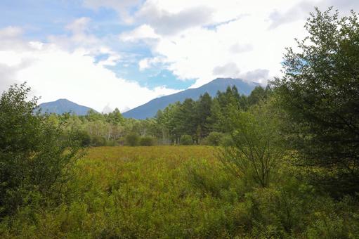 戦場ヶ原 栃木県,日光市,奥日光の写真素材