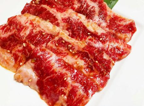 皿に盛りつけられた焼肉 皿に盛りつけられた焼肉 焼肉,生肉,肉料理の写真素材
