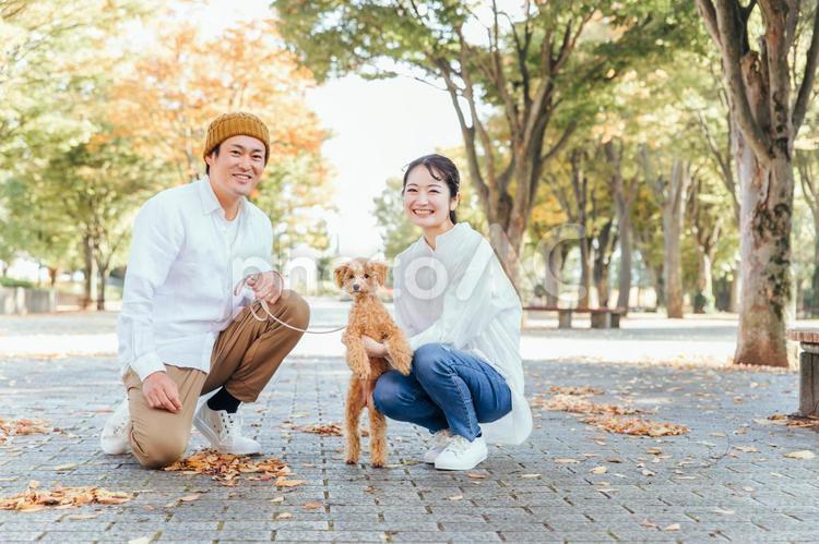 犬の散歩をする男女（座る） 犬,ペット,愛犬の写真素材