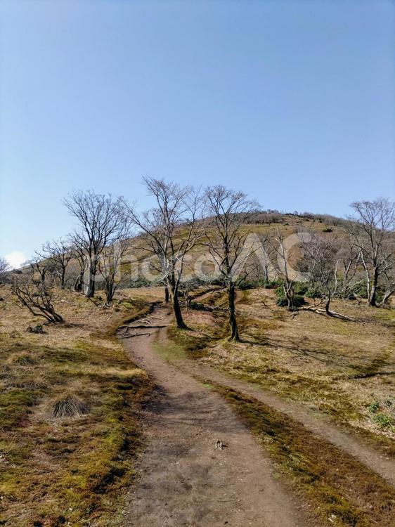 あの頂きをめざして 登山,山,景色の写真素材