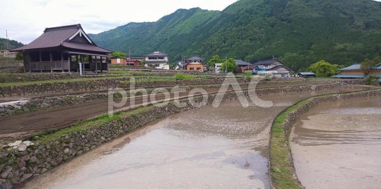 田植え前の棚田 棚田,田植え前,山の写真素材