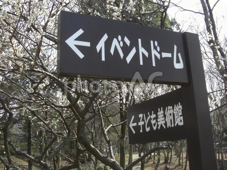 ふなばしアンデルセン公園の風景-12 ふなばしアンデルセン公園の風景,アンデルセン公園,千葉県船橋市の写真素材