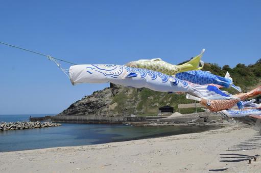 海岸で泳ぐ鯉のぼり 鯉のぼり,こいのぼり,鯉幟の写真素材